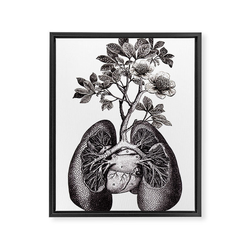 Flourishing Lungs Framed Canvas Print Gallery Image 6