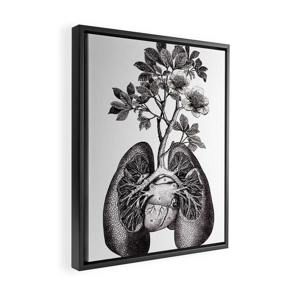Flourishing Lungs Framed Canvas Print Gallery Image 2