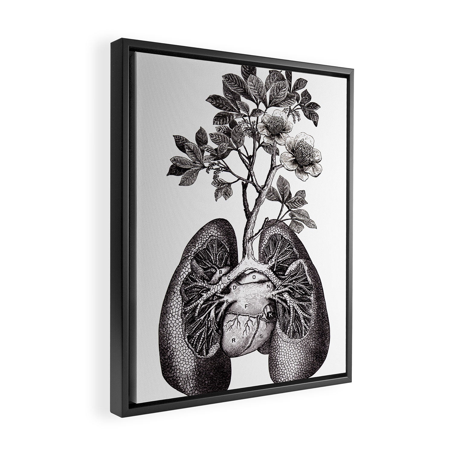 Flourishing Lungs Framed Canvas Print Gallery Image 2