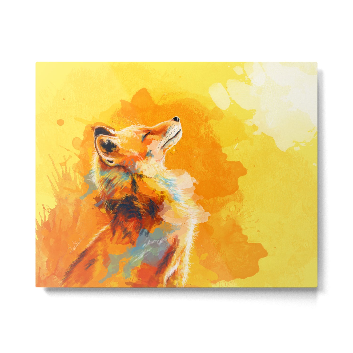 Blissful Light - Fox portrait Metal Print Gallery Image 4