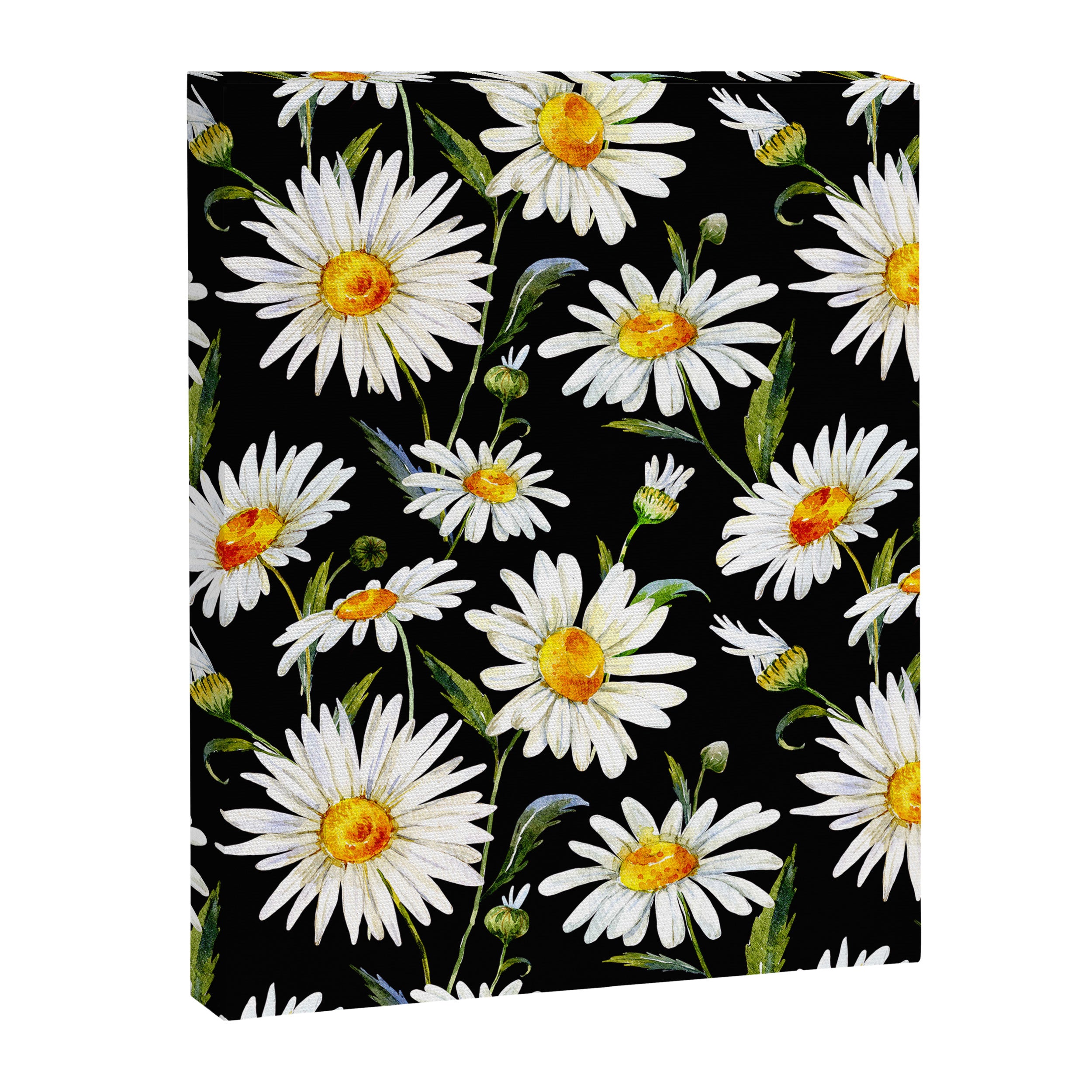 Floral Kingdom Cute White Daisy On Black Background Canvas Print Gallery Image 6