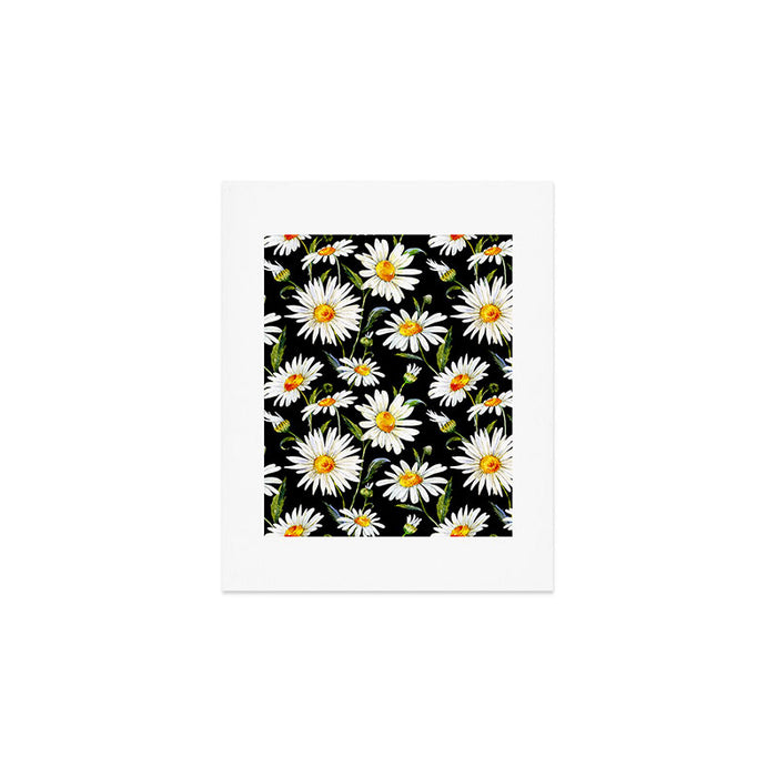 Floral Kingdom Cute White Daisy On Black Background Art Print Gallery Image 1