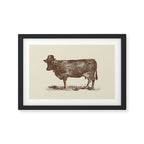 Cow Cow Nut #1 Framed Art Print Gallery Image 2