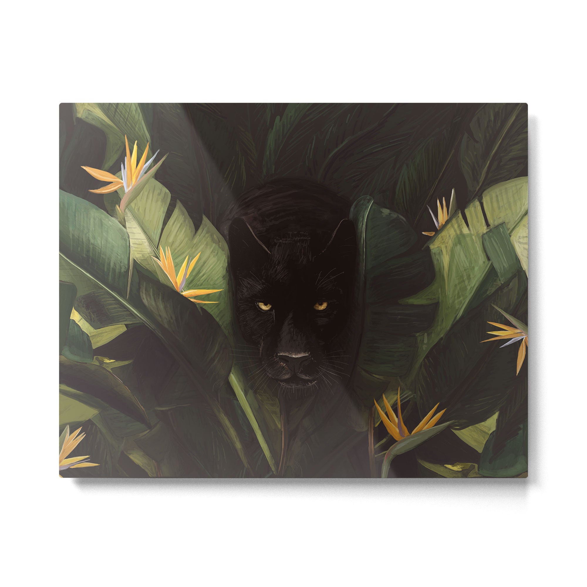 Hello Panther! Metal Print Gallery Image 4