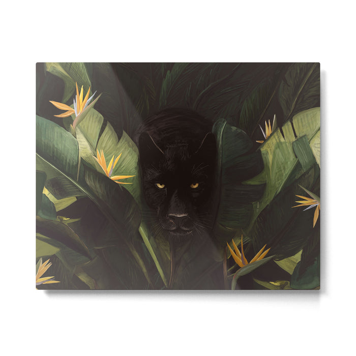 Hello Panther! Metal Print Gallery Image 1