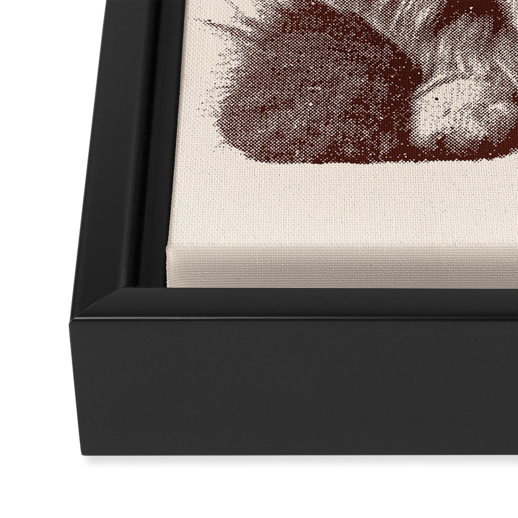Tennis Cat Framed Canvas Print Gallery Image 3