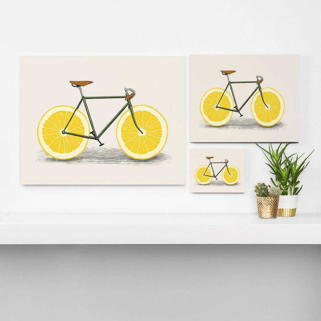 Zest Canvas Print Gallery Image 3