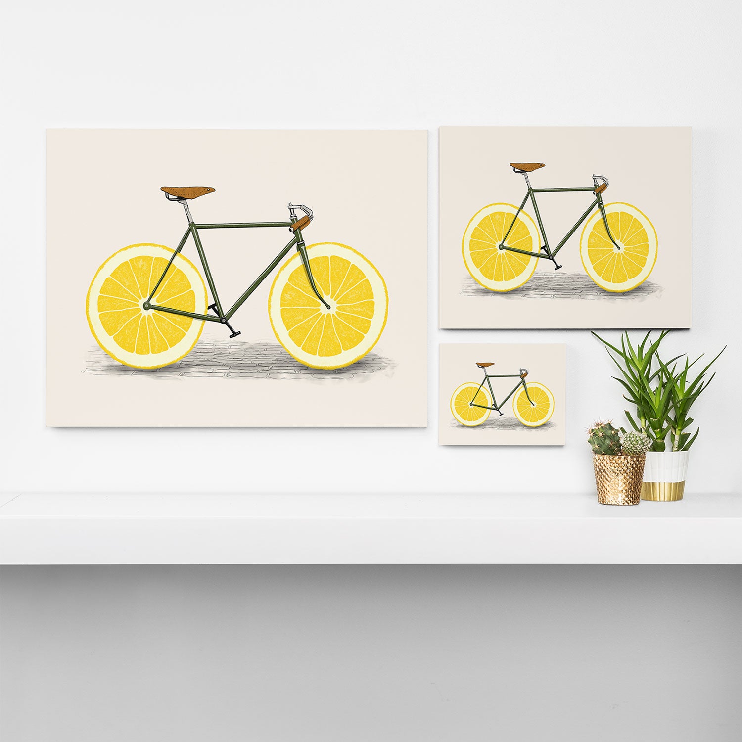 Zest Canvas Print Gallery Image 3