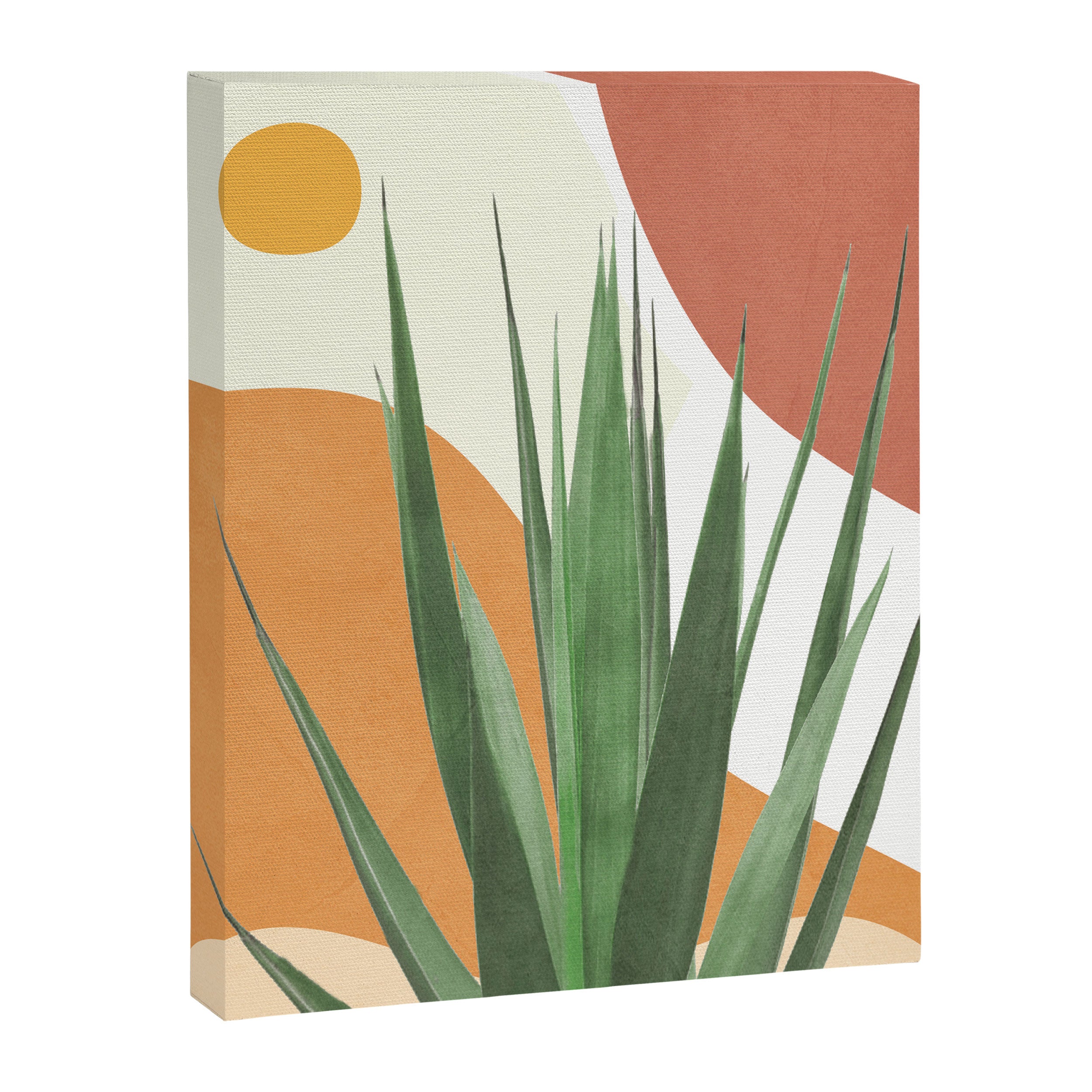 Abstract Agave Plant Canvas Print Gallery Image 6