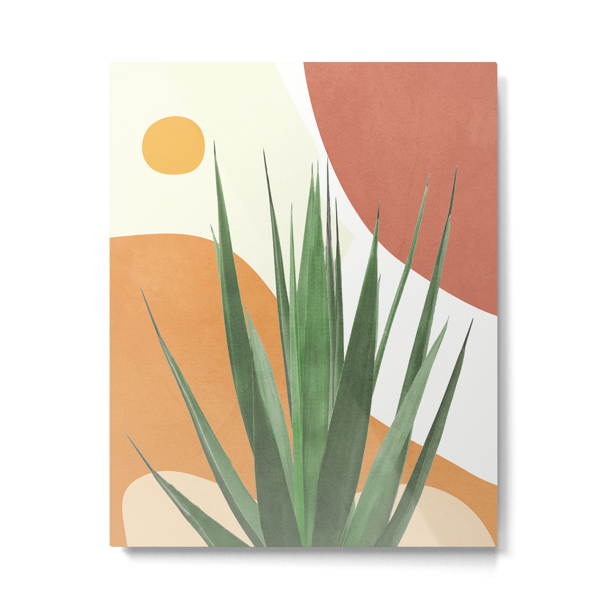 Abstract Agave Plant Metal Print Gallery Image 4