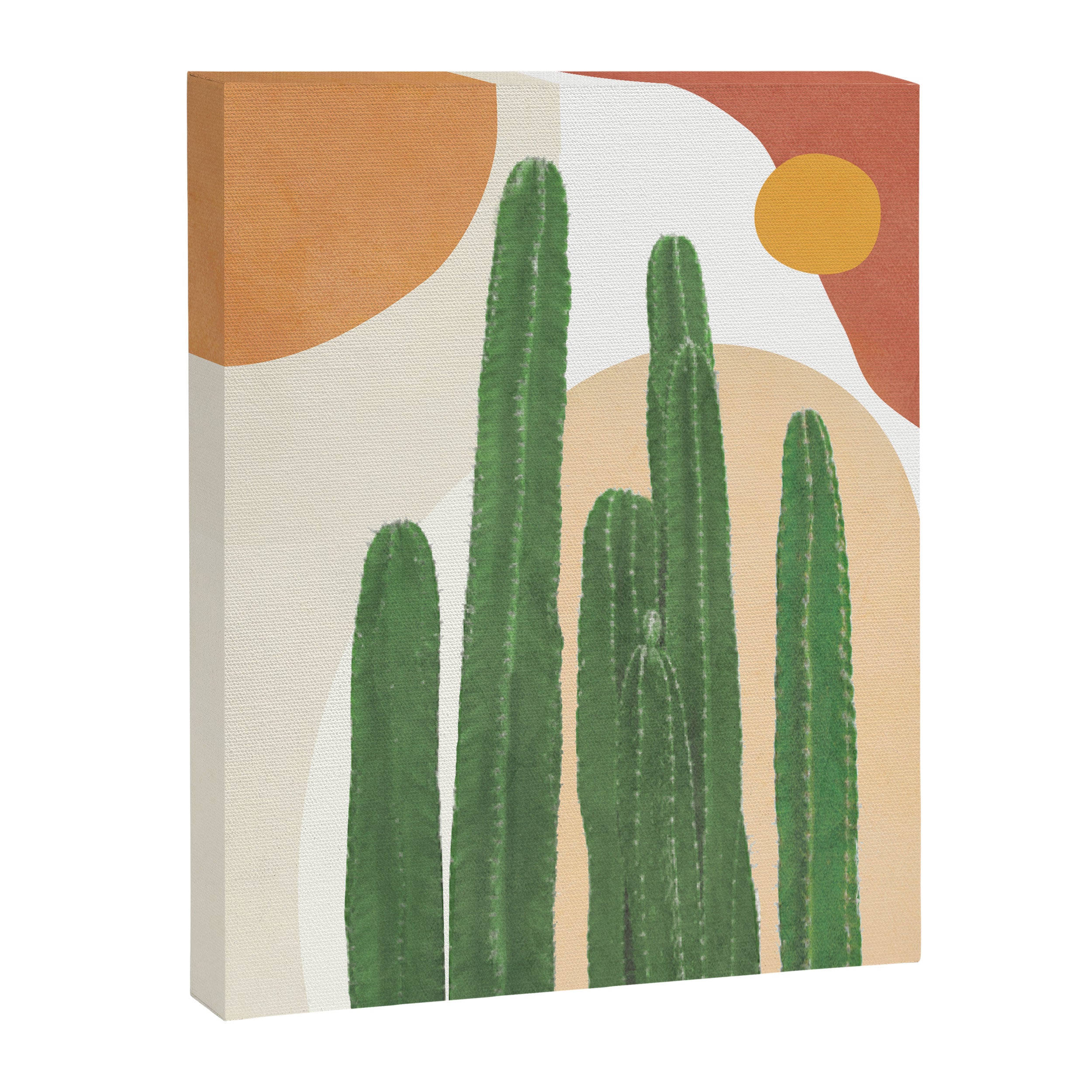 Abstract Cactus I Canvas Print Gallery Image 6
