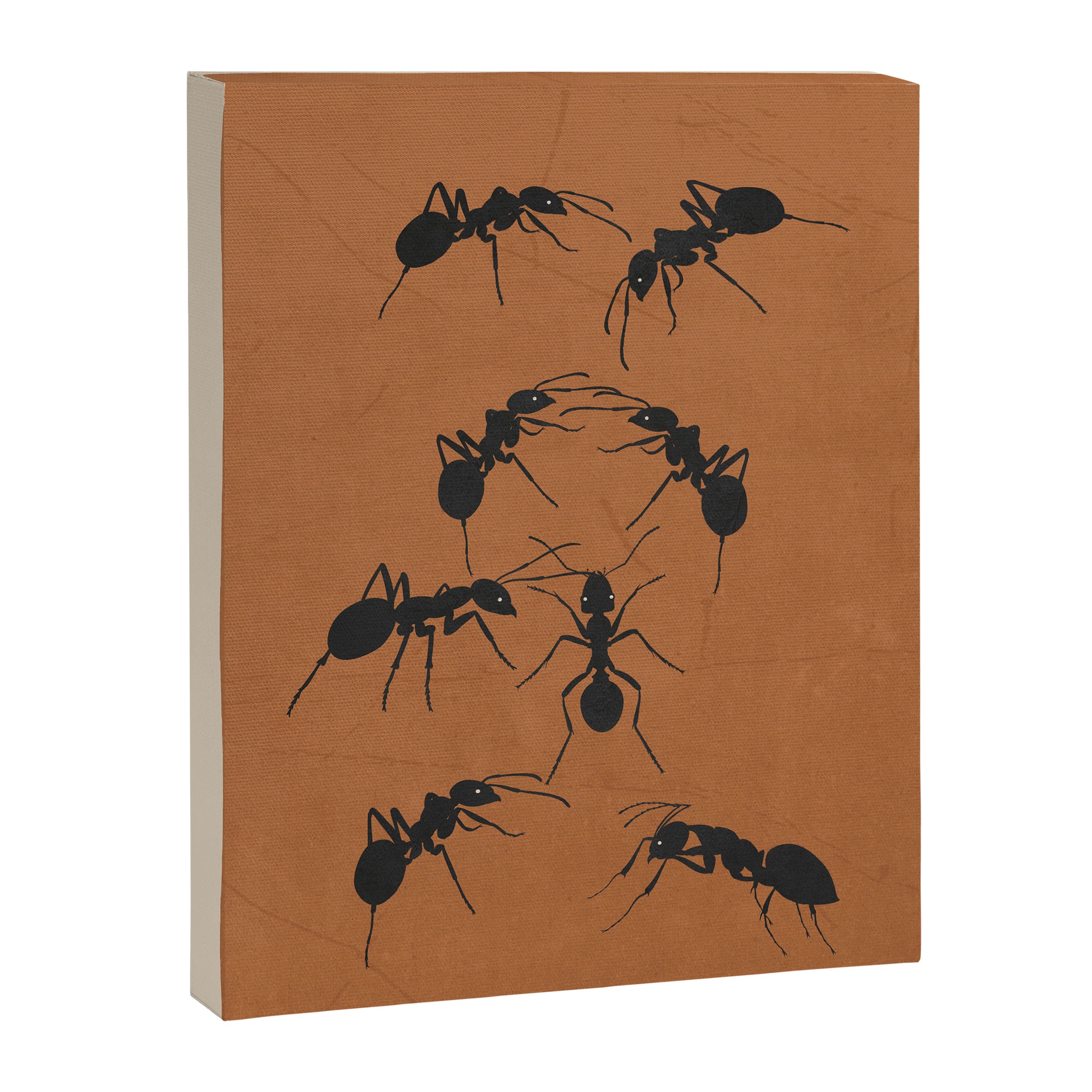 Ants in Formation 1 Canvas Print Gallery Image 6