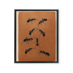 Ants in Formation 1 Framed Canvas Print Gallery Image 6