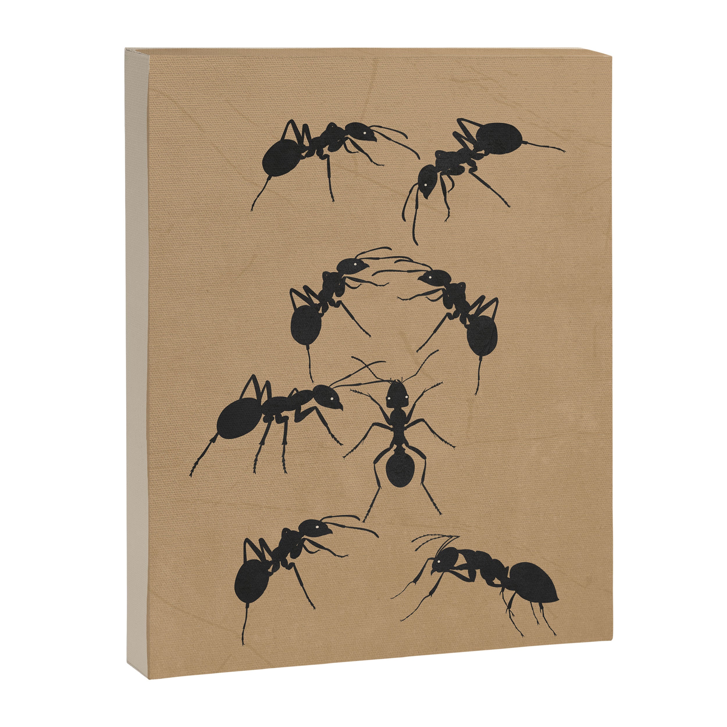 Ants in Formation 5 Canvas Print Gallery Image 6