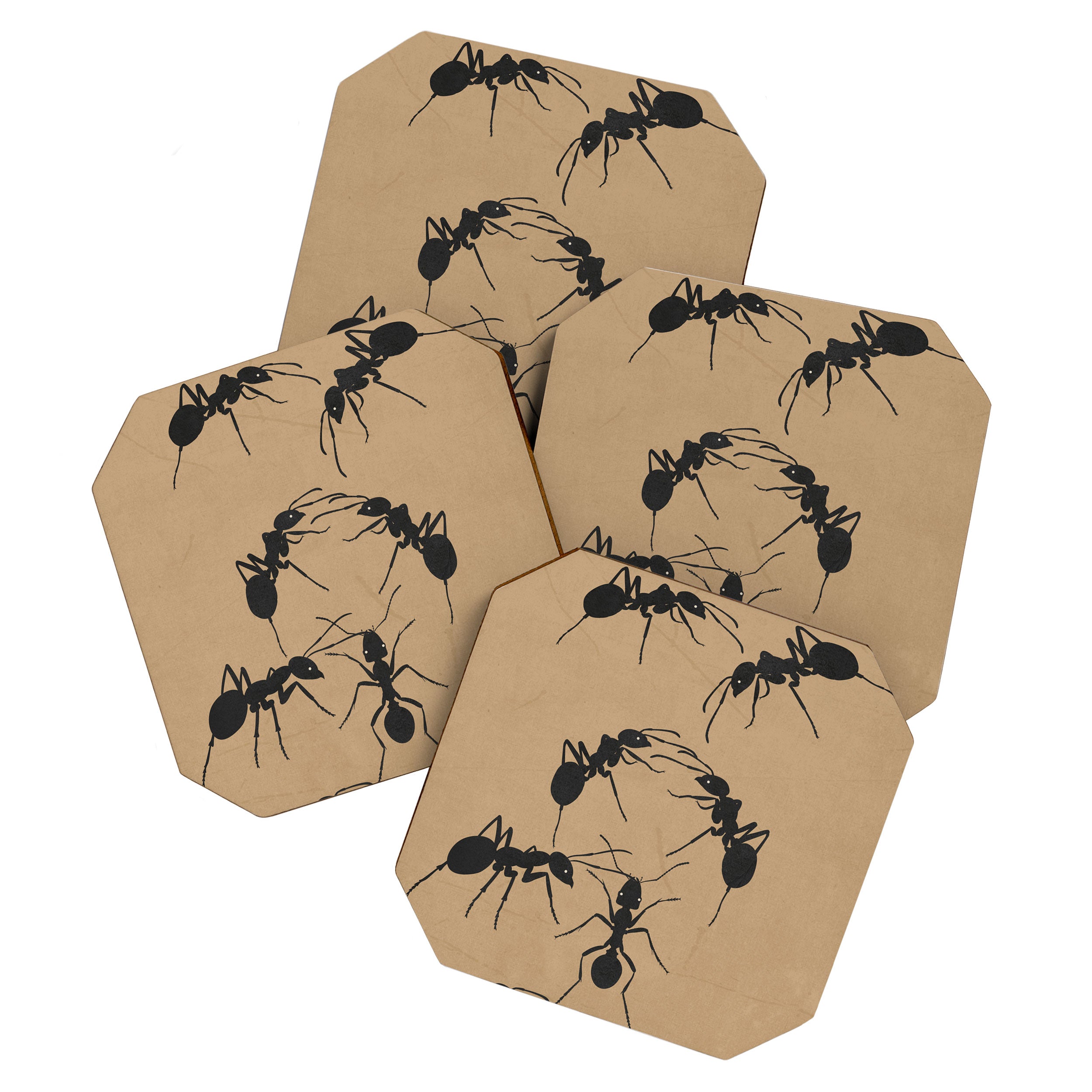 Ants in Formation 5 Coaster Gallery Image 1