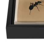 Ants in Formation 5 Framed Canvas Print Gallery Image 3