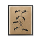 Ants in Formation 5 Framed Canvas Print Gallery Image 6