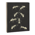 Ants in Formation 6 Canvas Print Gallery Image 6