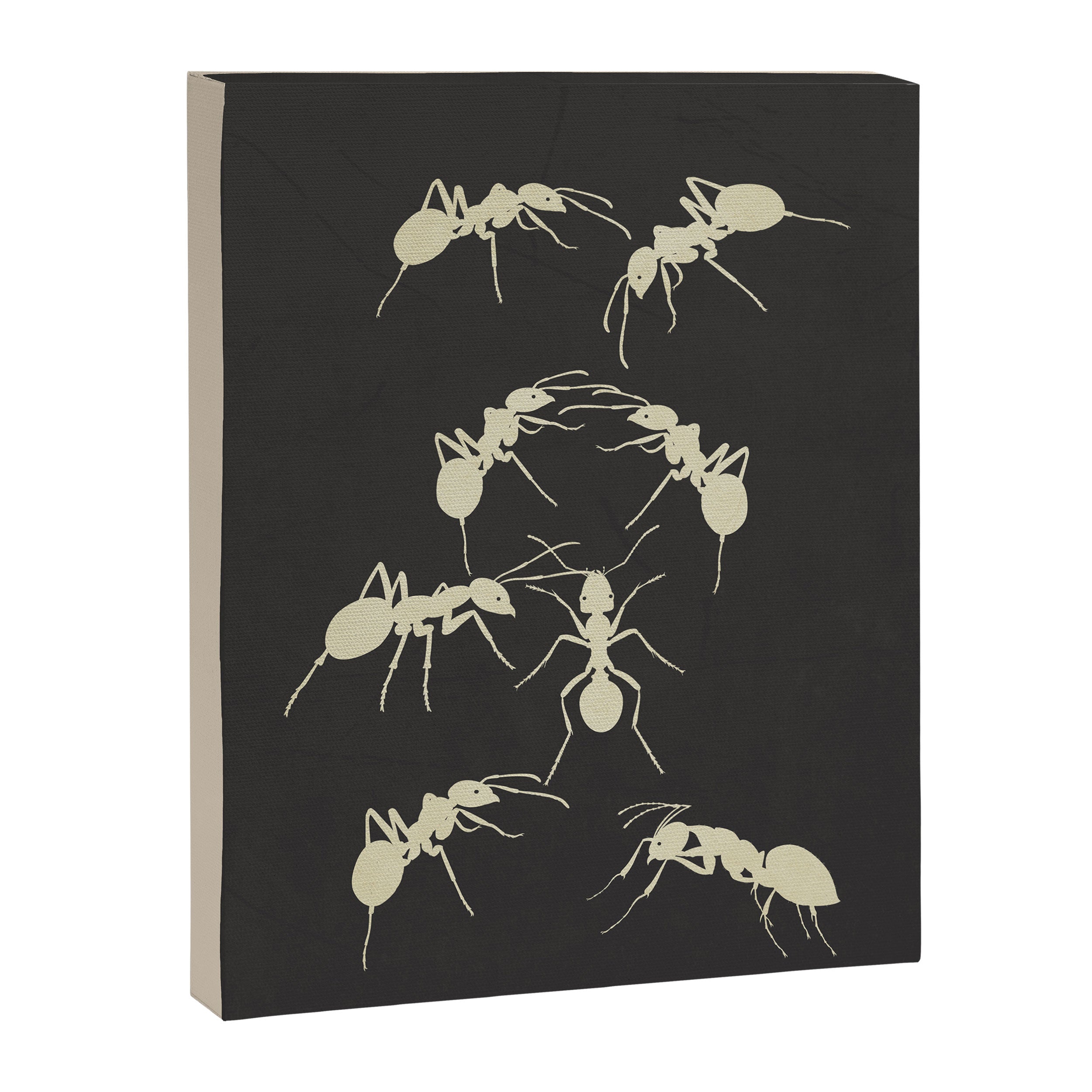 Ants in Formation 6 Canvas Print Gallery Image 6