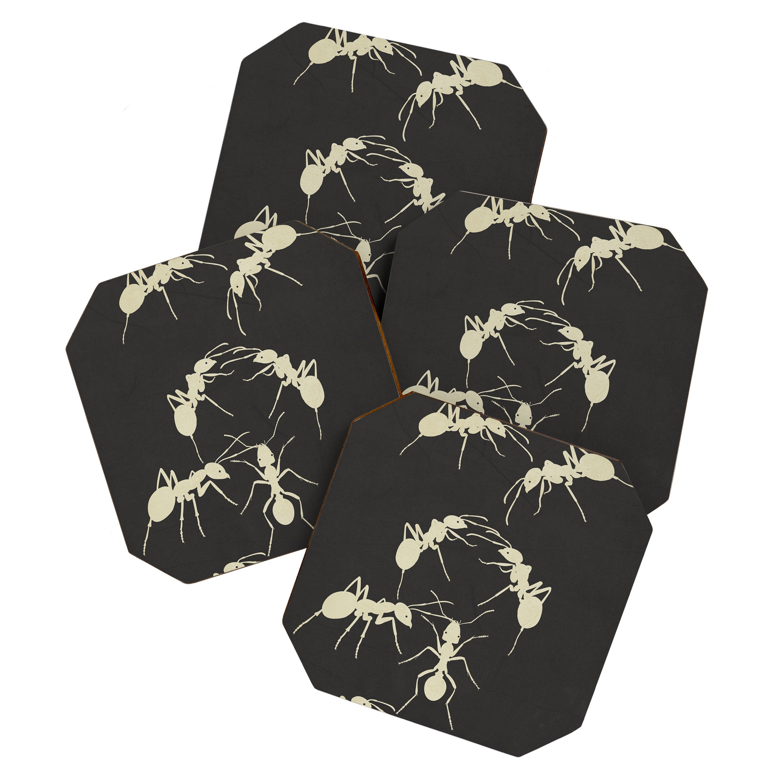 Ants in Formation 6 Coaster Gallery Image 1