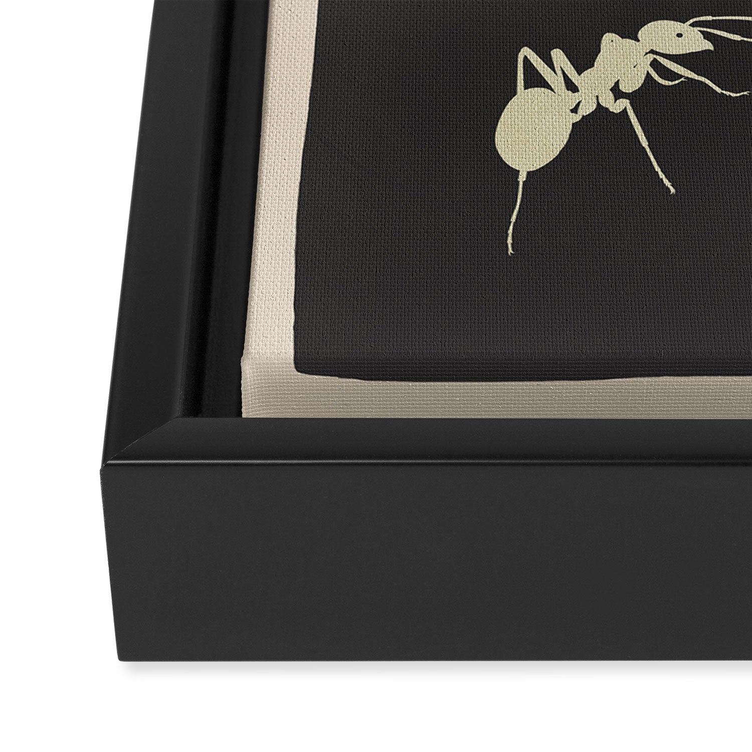 Ants in Formation 6 Framed Canvas Print Gallery Image 3