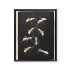Ants in Formation 6 Framed Canvas Print Gallery Image 6