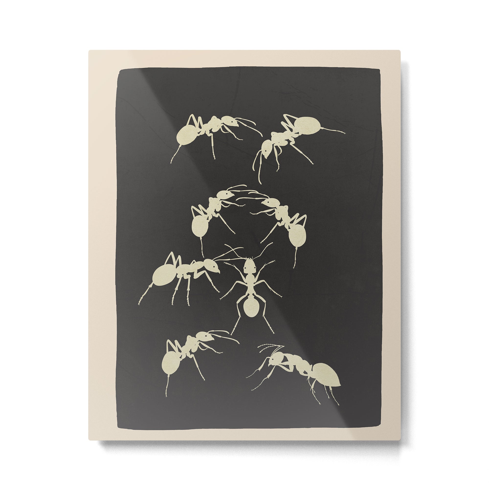 Ants in Formation 6 Metal Print Gallery Image 4