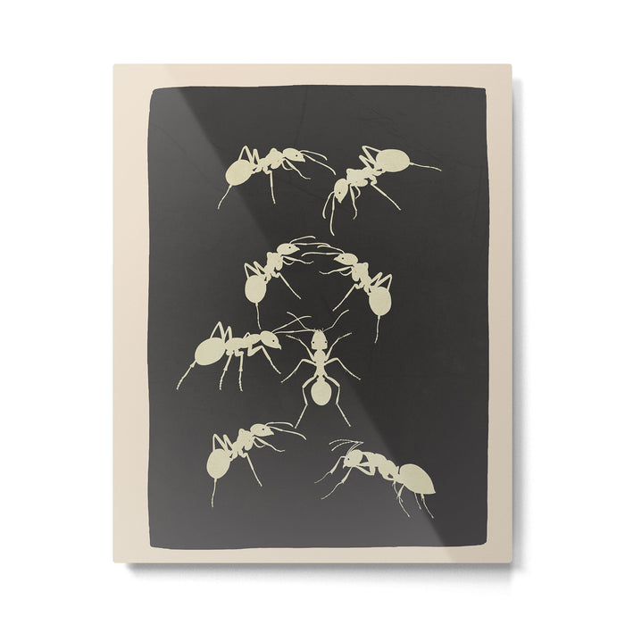 Ants in Formation 6 Metal Print Gallery Image 1
