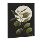 Beautiful Plant Leaves 1 Canvas Print Gallery Image 6