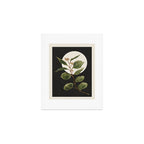 Beautiful Plant Leaves 1 Art Print Gallery Image 1