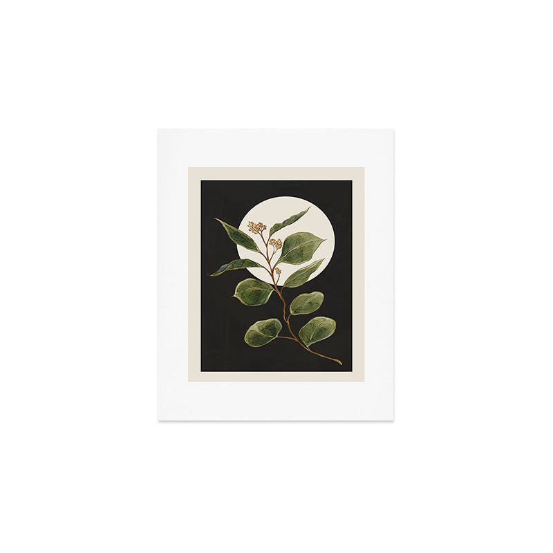 Beautiful Plant Leaves 1 Art Print Gallery Image 1