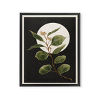 Beautiful Plant Leaves 1 Framed Canvas Print Gallery Image 6