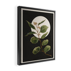 Beautiful Plant Leaves 1 Framed Canvas Print Gallery Image 2