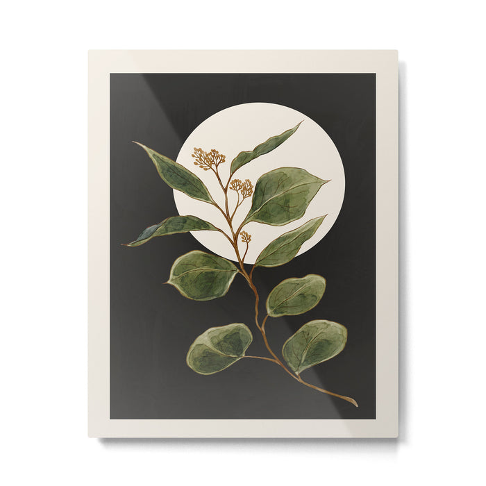 Beautiful Plant Leaves 1 Metal Print Gallery Image 1
