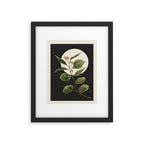 Beautiful Plant Leaves 1 Framed Art Print Gallery Image 5