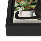 Black Cat And House Plants 3 Framed Canvas Print Gallery Image 3