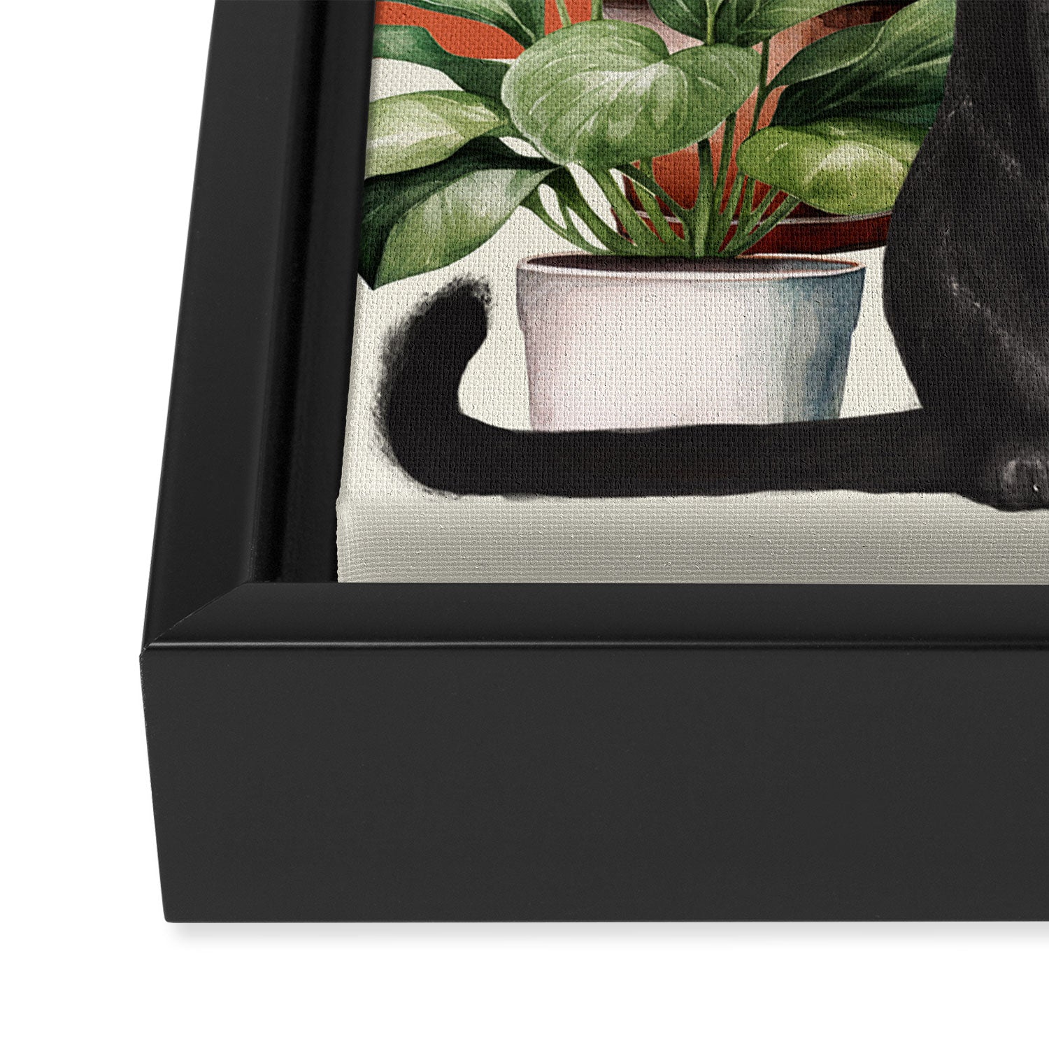 Black Cat And House Plants 3 Framed Canvas Print Gallery Image 3