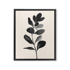 Botanical Silhouette II Framed Canvas Print Gallery Image 6
