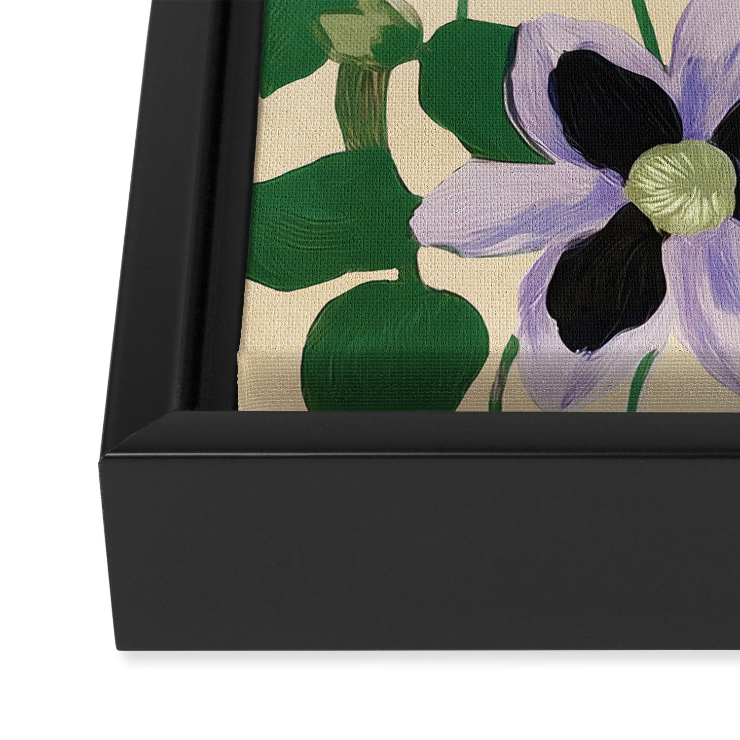 Clematis Botanical Illustration Framed Canvas Print Gallery Image 3