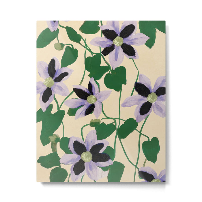 Clematis Botanical Illustration Metal Print Gallery Image 1