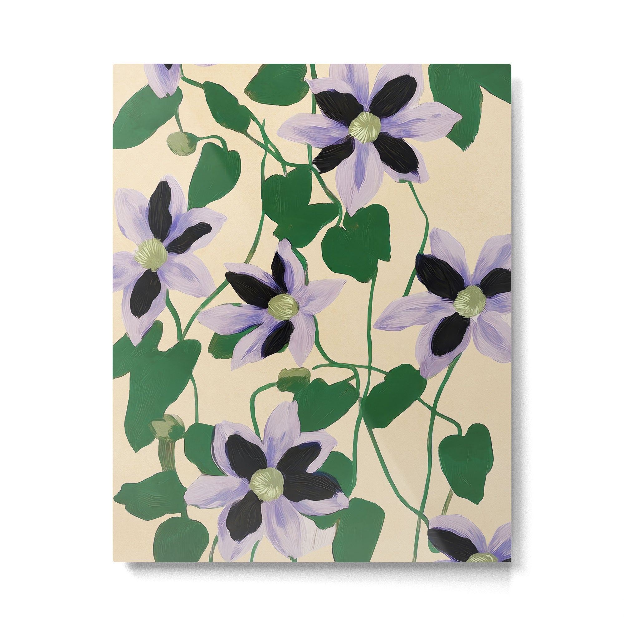 Clematis Botanical Illustration Metal Print Gallery Image 4