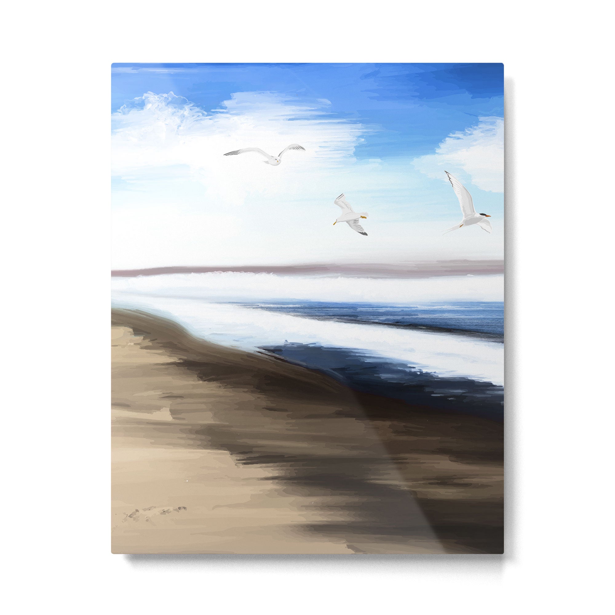 Coastal Seagulls Metal Print Gallery Image 6