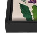 Contemporary Botanical Garden Foxglove in Bloom Framed Canvas Print Gallery Image 3