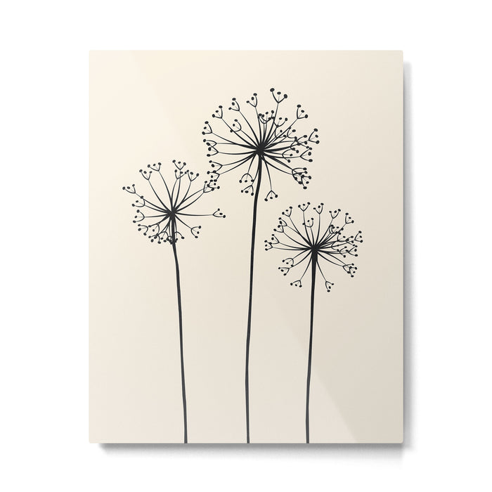 Dandelions Metal Print Gallery Image 1