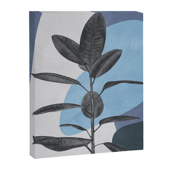 Ficus II Canvas Print Gallery Image 1