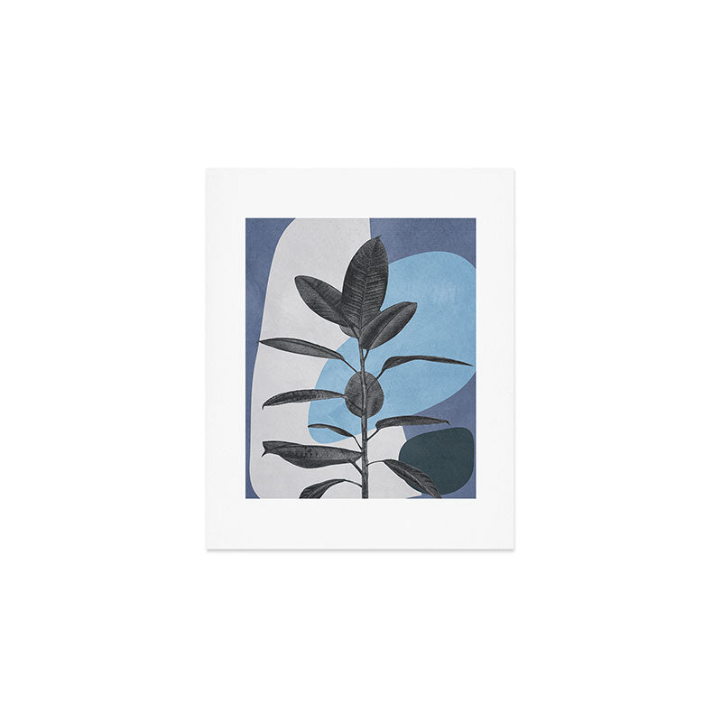 Ficus II Art Print Gallery Image 1