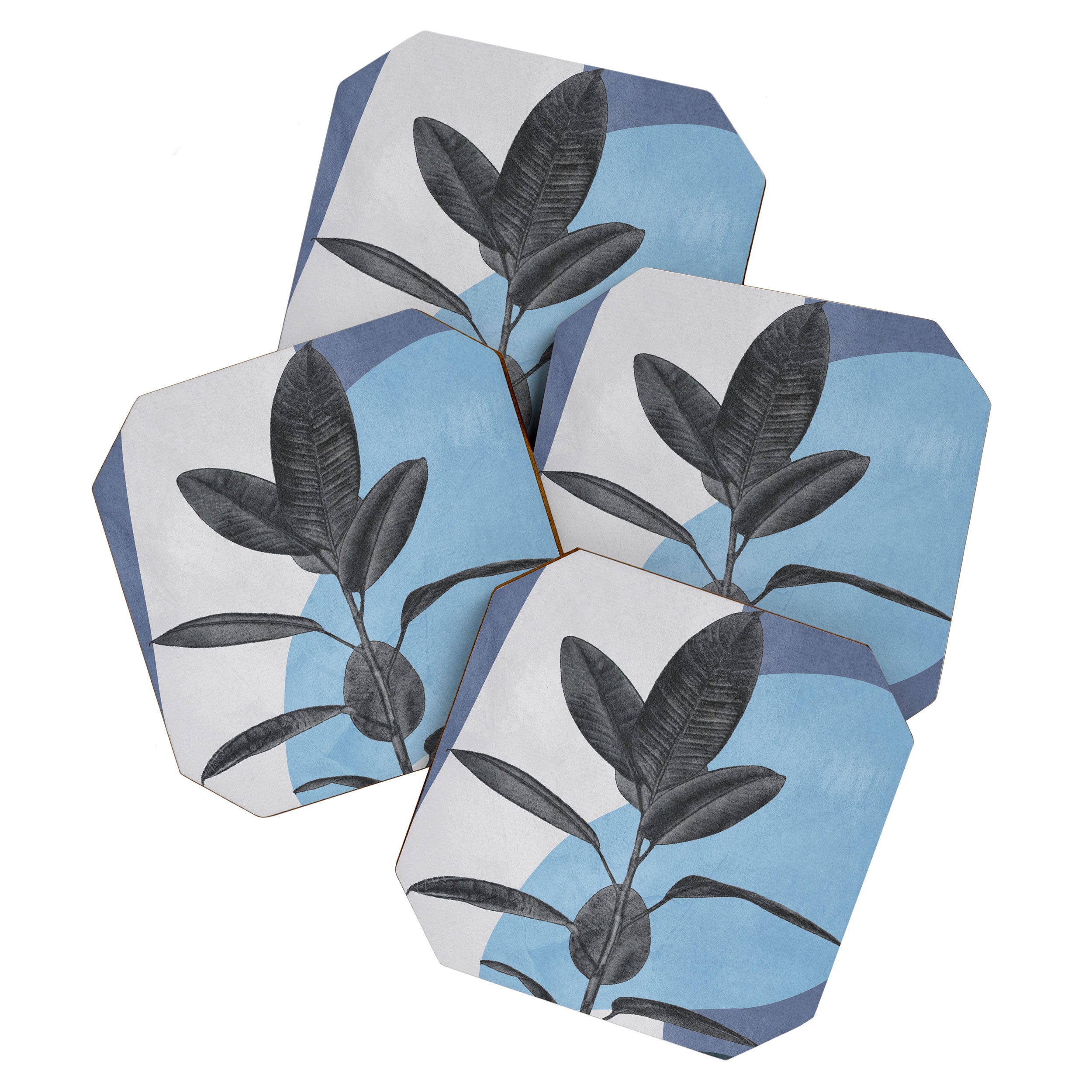 Ficus II Coaster Gallery Image 1