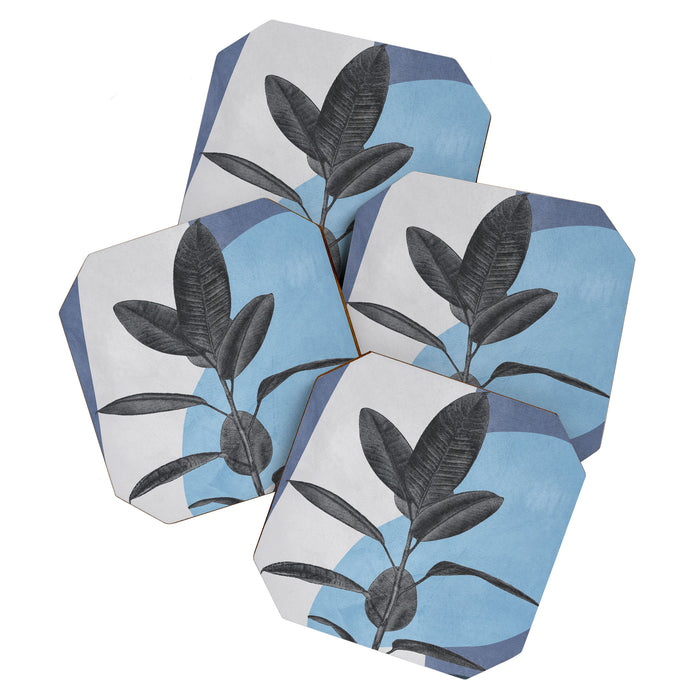 Ficus II Coaster Gallery Image 1
