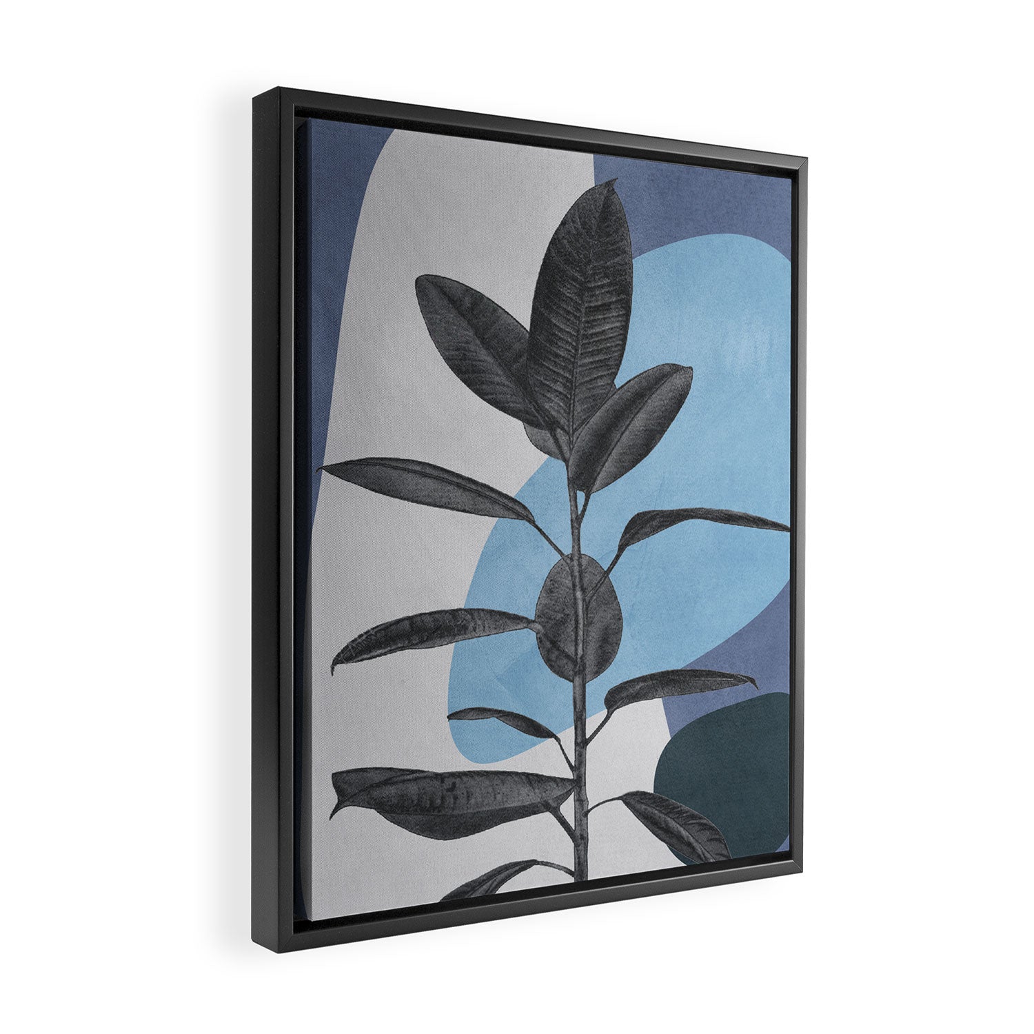 Ficus II Framed Canvas Print Gallery Image 2