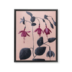 Fuchsia Botanical Drawing Framed Canvas Print Gallery Image 6